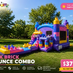 PINK BRICK BOUNCE COMBO